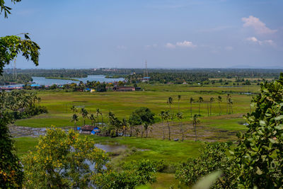 Scenic view of agricultural field against sky