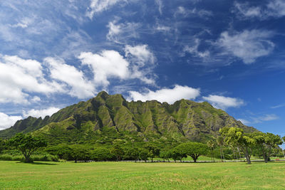 Scenic view of field against sky