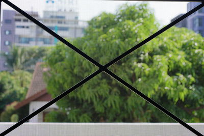 Close-up of plant seen through window