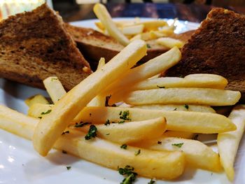 Close-up of food served in plate