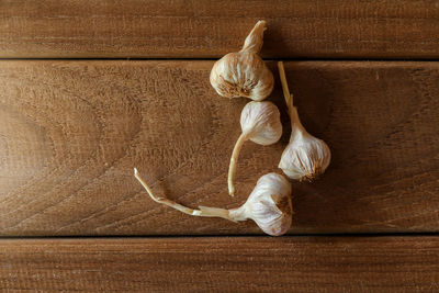 High angle view of man relaxing on wooden floor