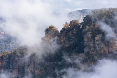 Panoramic view of trees and buildings against sky