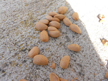 High angle view of bread on beach