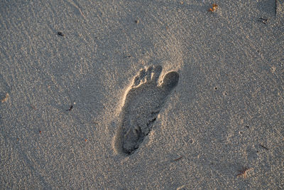 High angle view of footprints on wet sand