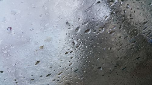 Close-up of water drops on window