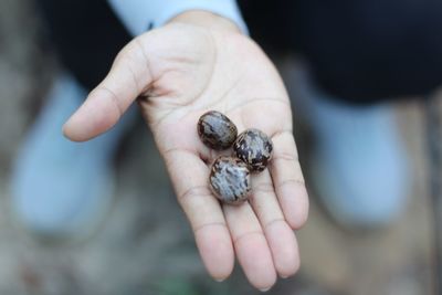 Close-up of man holding hands