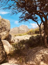 Rock formations on landscape against sky