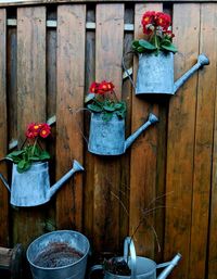 Rear view of woman standing by potted plant