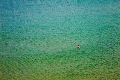 High angle view of person swimming in sea