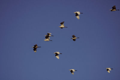 flying