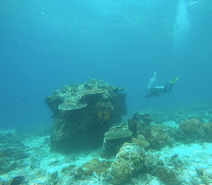 Man swimming in sea