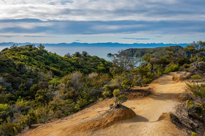 Scenic view of road by trees against sky