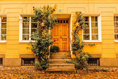 Tree by house against yellow building