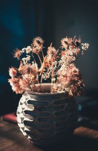 Close-up of potted plant