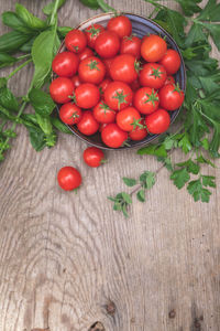 Fresh, organically homegrown cherry tomato harvest in a bowl with fresh herbs, basil and parsley
