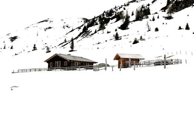 Birds flying over houses against sky