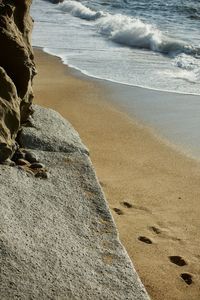 Scenic view of sea shore