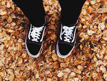 Low section of person standing on autumn leaves