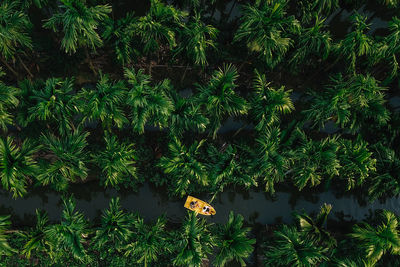 High angle view of yellow boat in river amidst trees