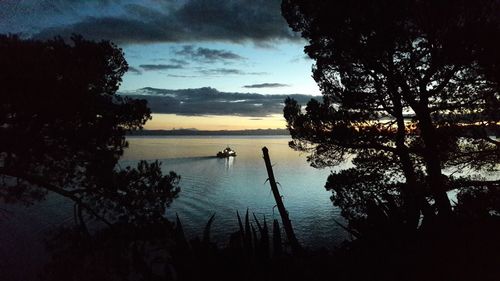 Silhouette trees by sea against sky during sunset