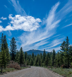 Gravel road amidst trees against sky