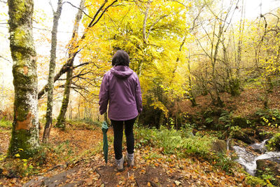 Rear view of woman standing in forest