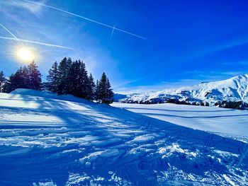 Snow covered trees against blue sky