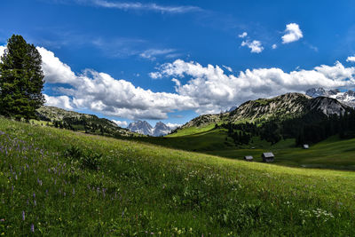 Scenic view of landscape against sky