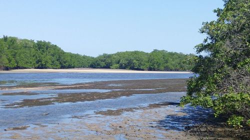 Scenic view of calm sea against clear sky