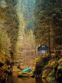 Scenic view of lake in forest during autumn
