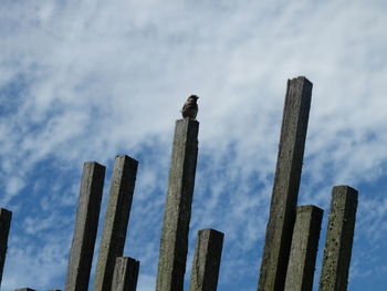 Low angle view of fence against sky