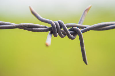 Close-up of barbed wire