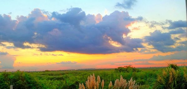 Scenic view of field against sky during sunset