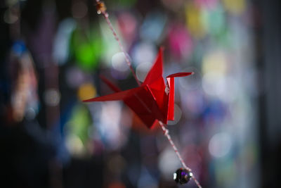 Close-up of red origami crane on string against abstract background