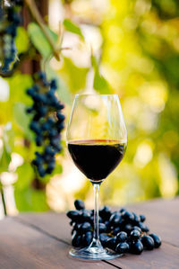 Close-up of wineglass on table