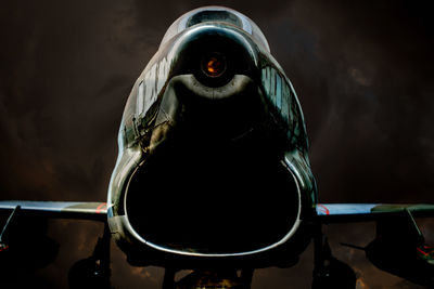 Close-up portrait of bird