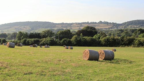 Hay bales on field against sky