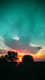 Silhouette of trees at sunset