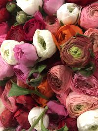 Full frame shot of roses