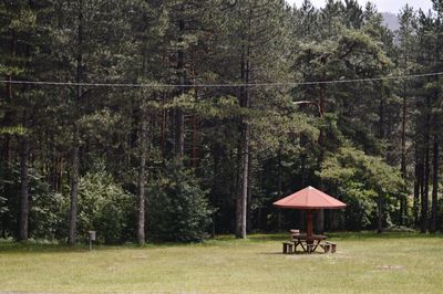 Lifeguard hut in forest