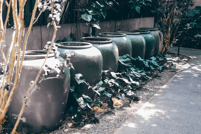 Containers in row by plants outdoors