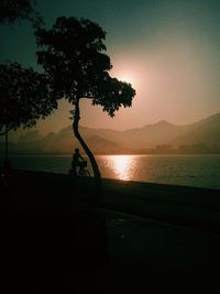 Silhouette tree on beach against sky during sunset