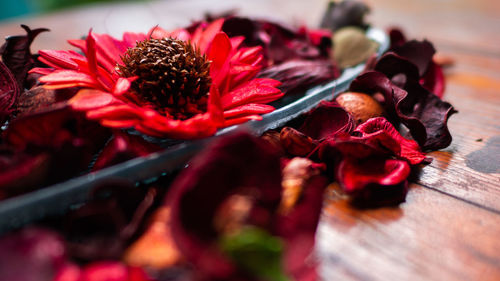 Close-up of red rose on table