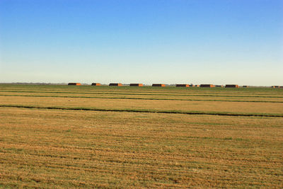 Hay bales on field against clear blue sky