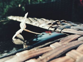 High angle view of ropes on table