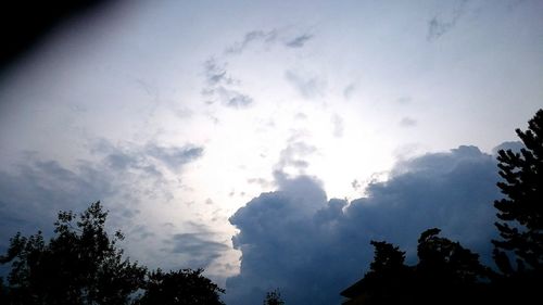 Low angle view of trees against cloudy sky