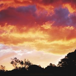 Low angle view of silhouette trees against dramatic sky