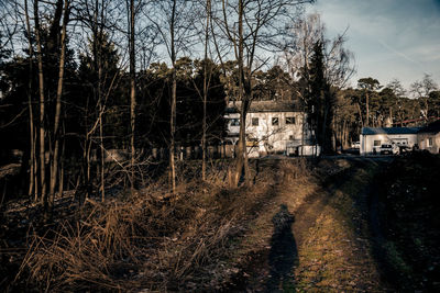 Bare trees and houses against sky