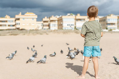 A boy feeds pigeons on a sandy beach against a background of apartment complexes and a stormy sky