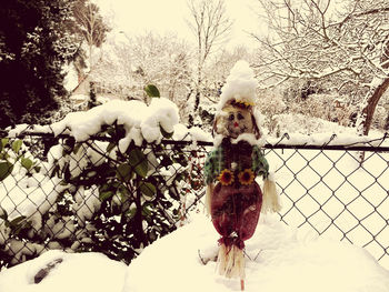 Snow covered plants and trees during winter